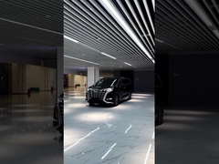 デンザ D9 EV 7 シート 620km 600km 2wd 4x4 ハイスピード 高級MPV Ev 車 Byd 電動車 販売