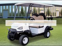 2人座 / 2+2人座 電動ゴルフカート 鉛酸電池 / リチウム電池